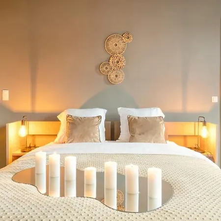 Spacious & Luminous Gem In Historic Building Apartment Ghent
