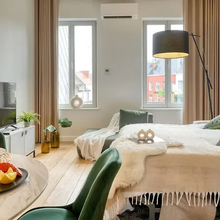 Apartment Spacious & Luminous Gem In Historic Building Ghent